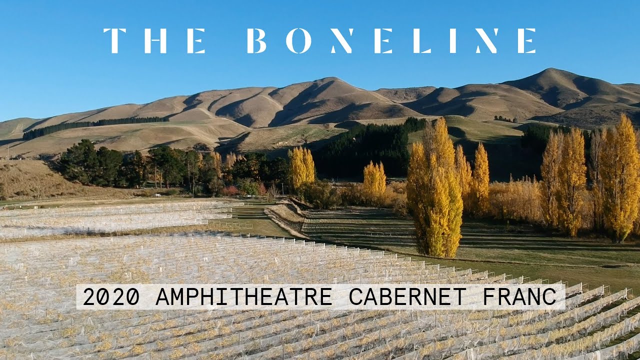THE BONELINE - PICKING AMPHITHEATRE CABERNET FRANC 2020